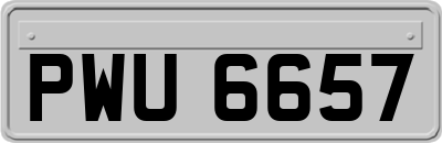 PWU6657