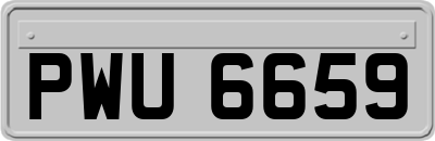 PWU6659