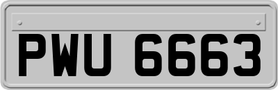 PWU6663