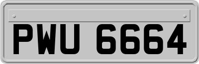 PWU6664