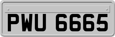 PWU6665