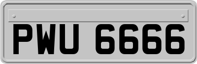 PWU6666