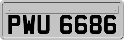 PWU6686