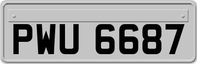 PWU6687