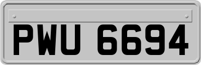 PWU6694