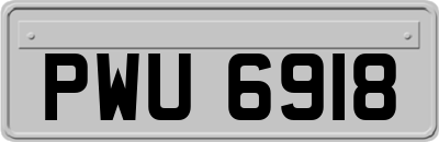 PWU6918