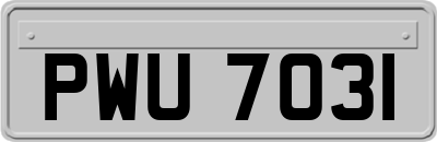 PWU7031