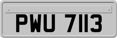 PWU7113