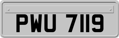 PWU7119