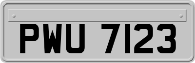 PWU7123