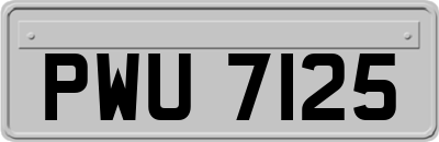 PWU7125