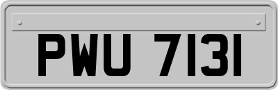 PWU7131