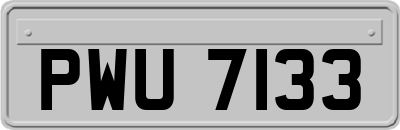 PWU7133