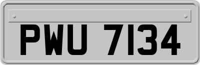 PWU7134