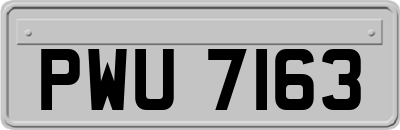 PWU7163