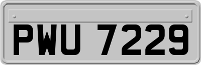 PWU7229