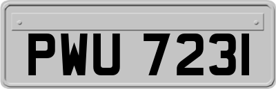 PWU7231
