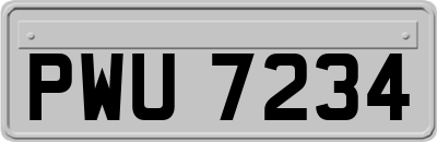 PWU7234