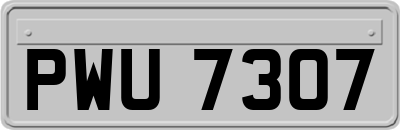 PWU7307