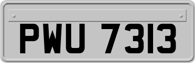 PWU7313