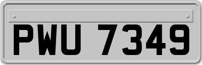 PWU7349