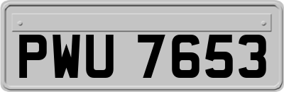 PWU7653