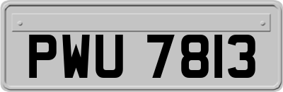 PWU7813