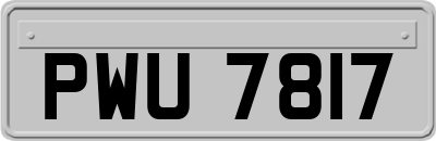 PWU7817