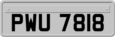 PWU7818