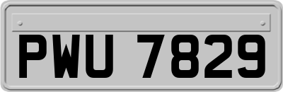 PWU7829