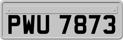 PWU7873