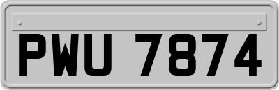 PWU7874