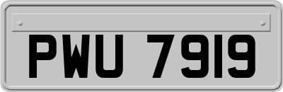 PWU7919