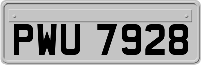 PWU7928