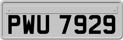 PWU7929