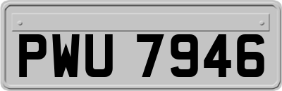 PWU7946