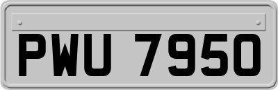 PWU7950