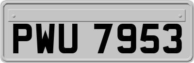 PWU7953