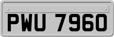 PWU7960