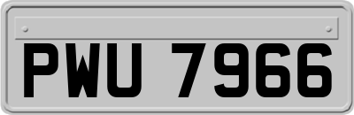 PWU7966