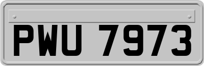 PWU7973