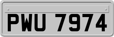 PWU7974