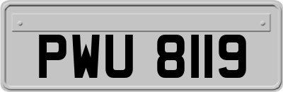 PWU8119