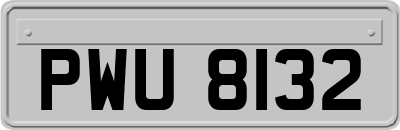 PWU8132