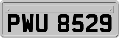 PWU8529