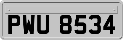 PWU8534