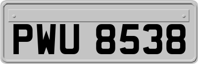 PWU8538