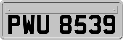 PWU8539