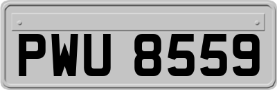 PWU8559