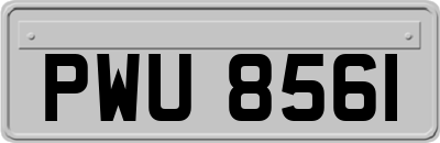 PWU8561